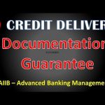 Credit Documentation Precautions 3rd Part Guarantee Advanced Banking Management CAIIB