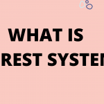 WHAT IS IMPREST SYSTEM _