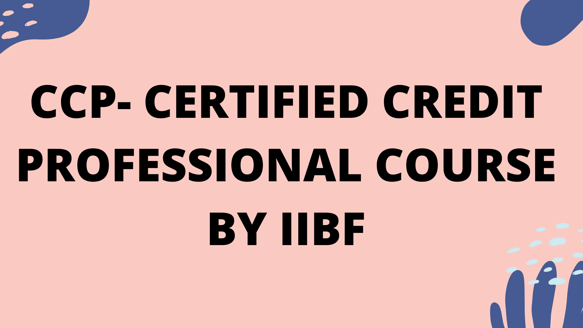 CCP- Certified Credit Professional