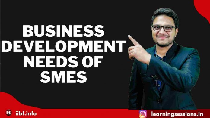 BUSINESS DEVELOPMENT NEEDS OF SMES | SETTING UP MSME