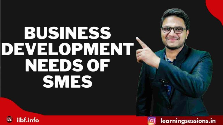 BUSINESS DEVELOPMENT NEEDS OF SMES | SETTING UP MSME