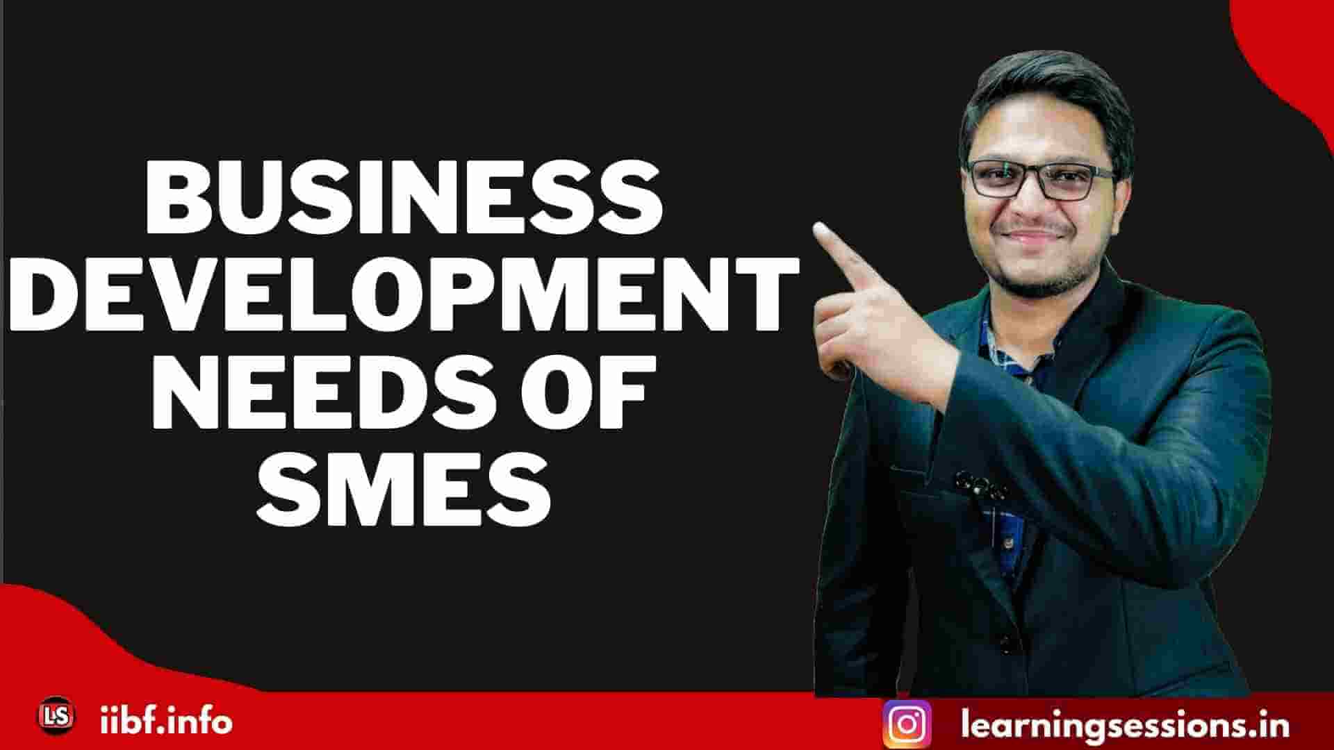 BUSINESS DEVELOPMENT NEEDS OF SMES | SETTING UP MSME