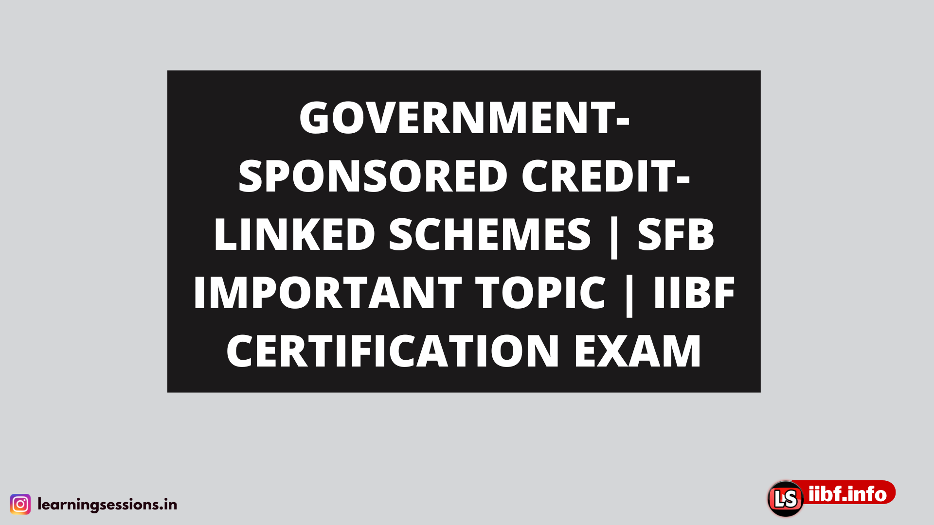 GOVERNMENT-SPONSORED CREDIT-LINKED SCHEMES | SFB IMPORTANT TOPIC | IIBF CERTIFICATION EXAM