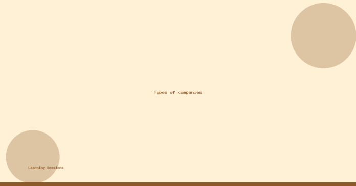 Types of companies